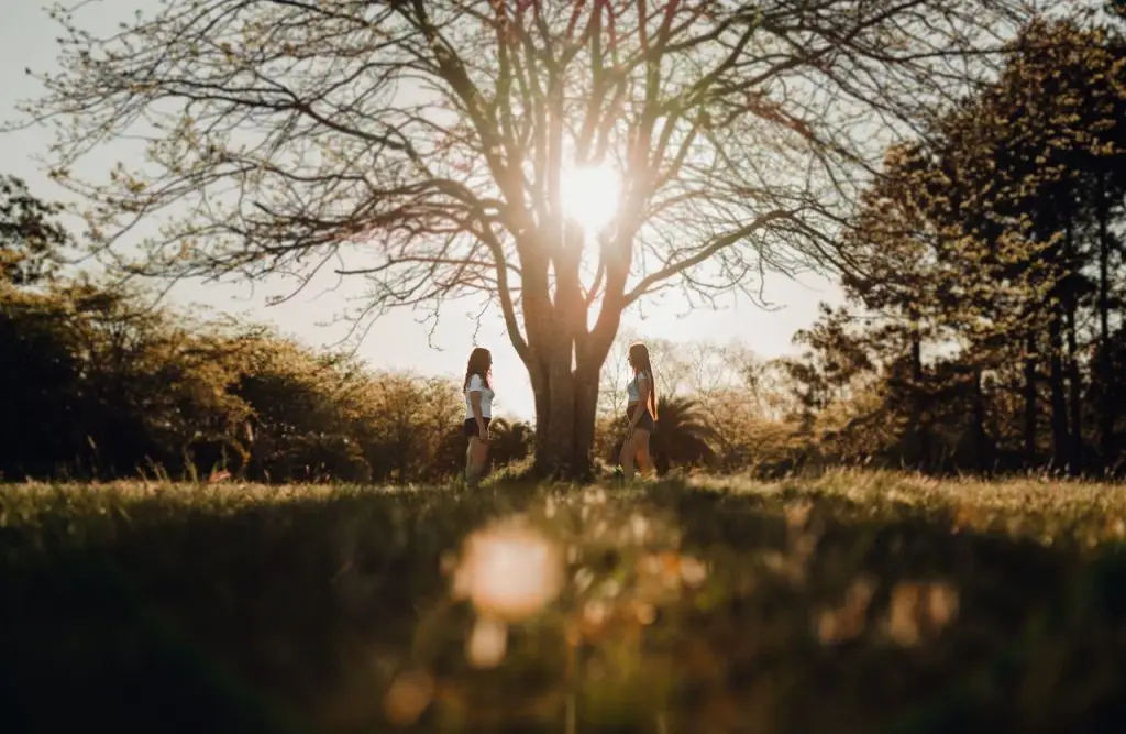 Two women walking under a tree with sunlight in a scenic park setting, evoking tranquility and springtime beauty.